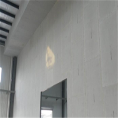合水宁波ALC板|EPS加气板隔墙与混凝土整浇联接的实验研讨